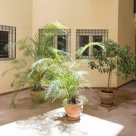 Apartment Paradise